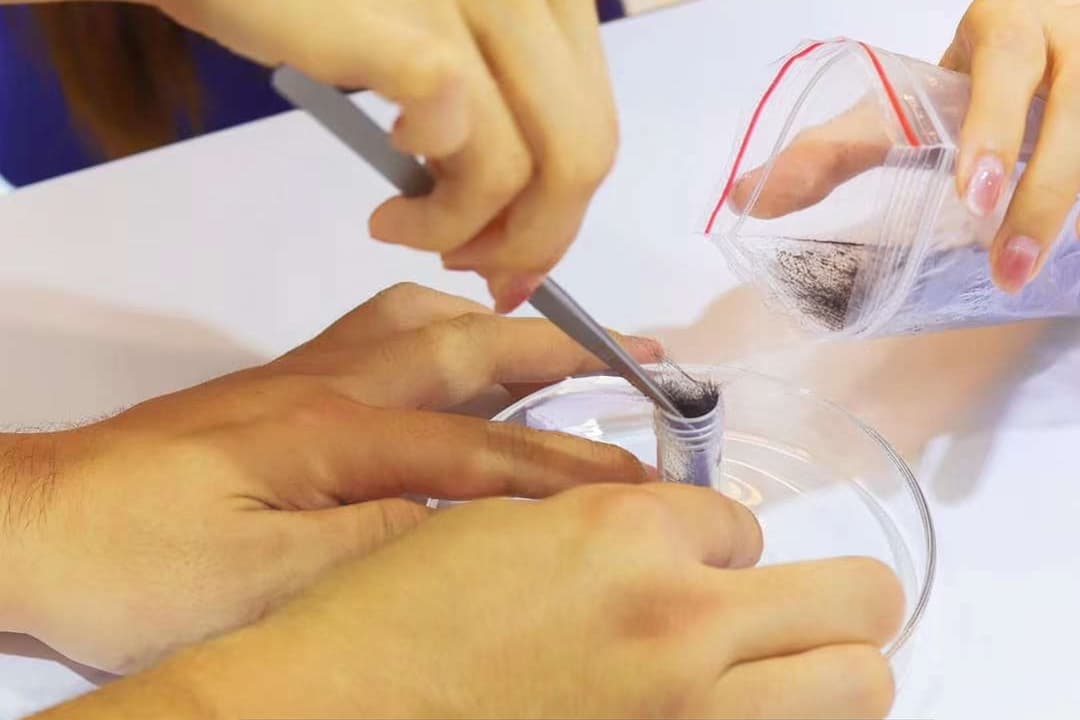 Purifying your pet's hair